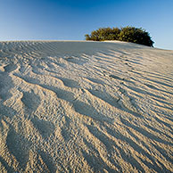 Sand ripples in the dunes of the nature reserve Westhoek, De Panne, Belgium