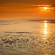 Sunset over the North Sea at the nature reserve The Zwin, Knokke, Belgium
