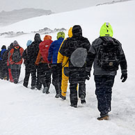 Tourists walking in line in the snow on Barrientos Island, South Shetland Islands, Antarctica