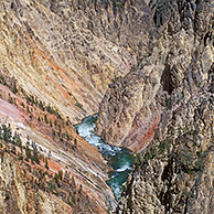 Grand Canyon of the Yellowstone river, Yellowstone National Park, Wyoming, USA 